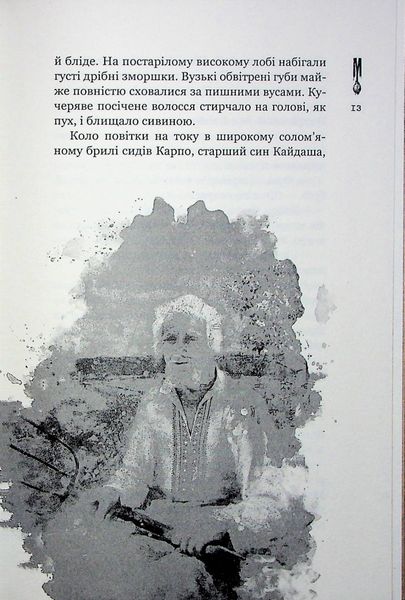 книга "Кайдашева сім'я проти зомбі" (2 в 1 мешап) Декань Олексій книга "Кайдашева сім'я проти зомбі" (2 в 1 мешап) Декань Олексій фото